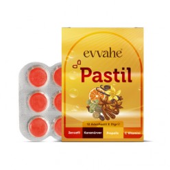 Pastil 12 adet (Zencefil, Karamürver, Propolis, C vitamini İçeren Pastil Takviye Edici Gıda)